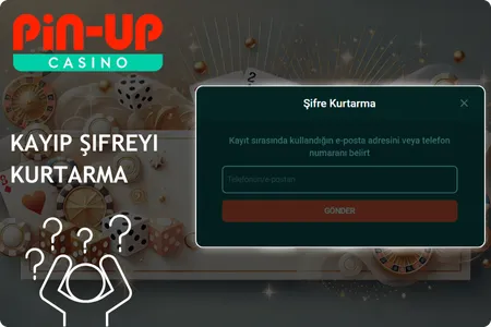 Pin Up şifre kurtarma